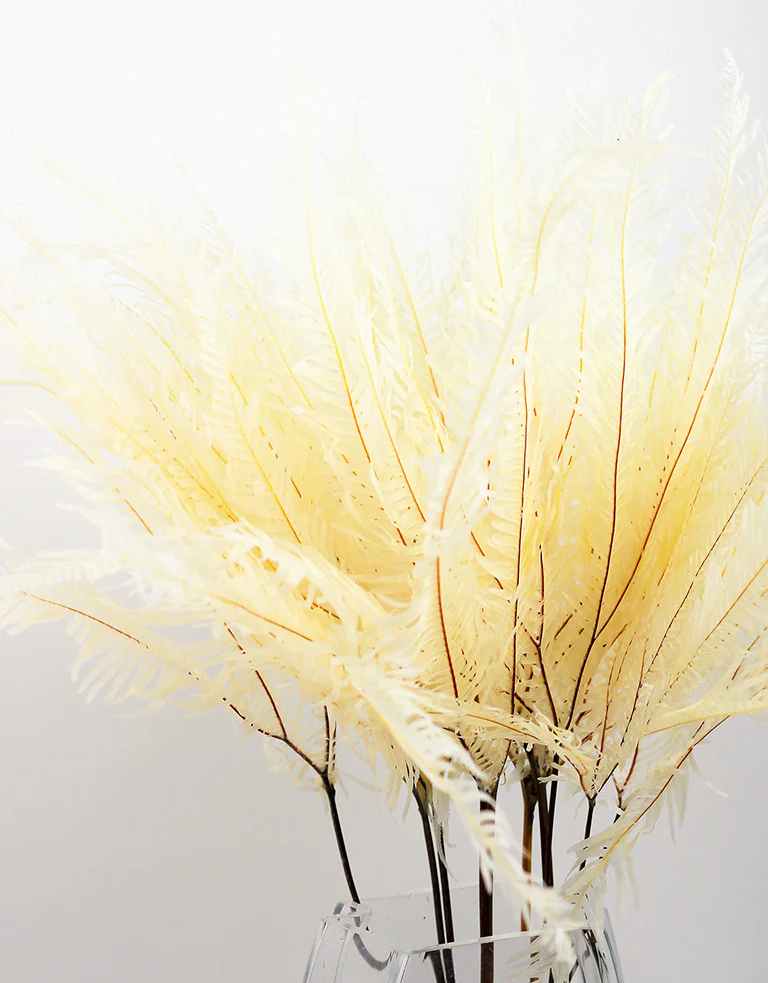 Preserved Umbrella Fern - Bleached Bunch, 60 cm - Image 3