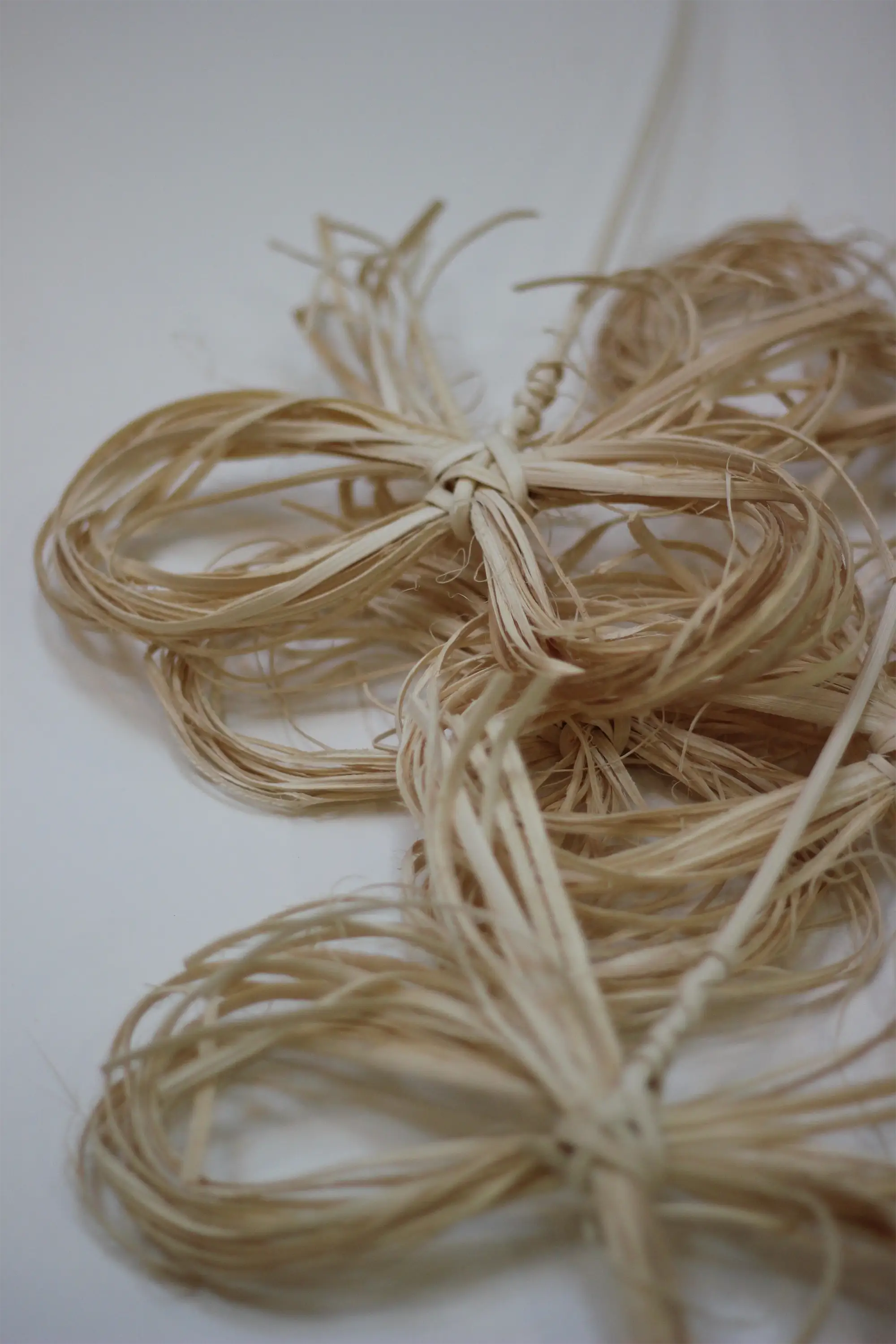Raffia Bow on Stick Bleached White 60CM (5-pieces) - Image 2